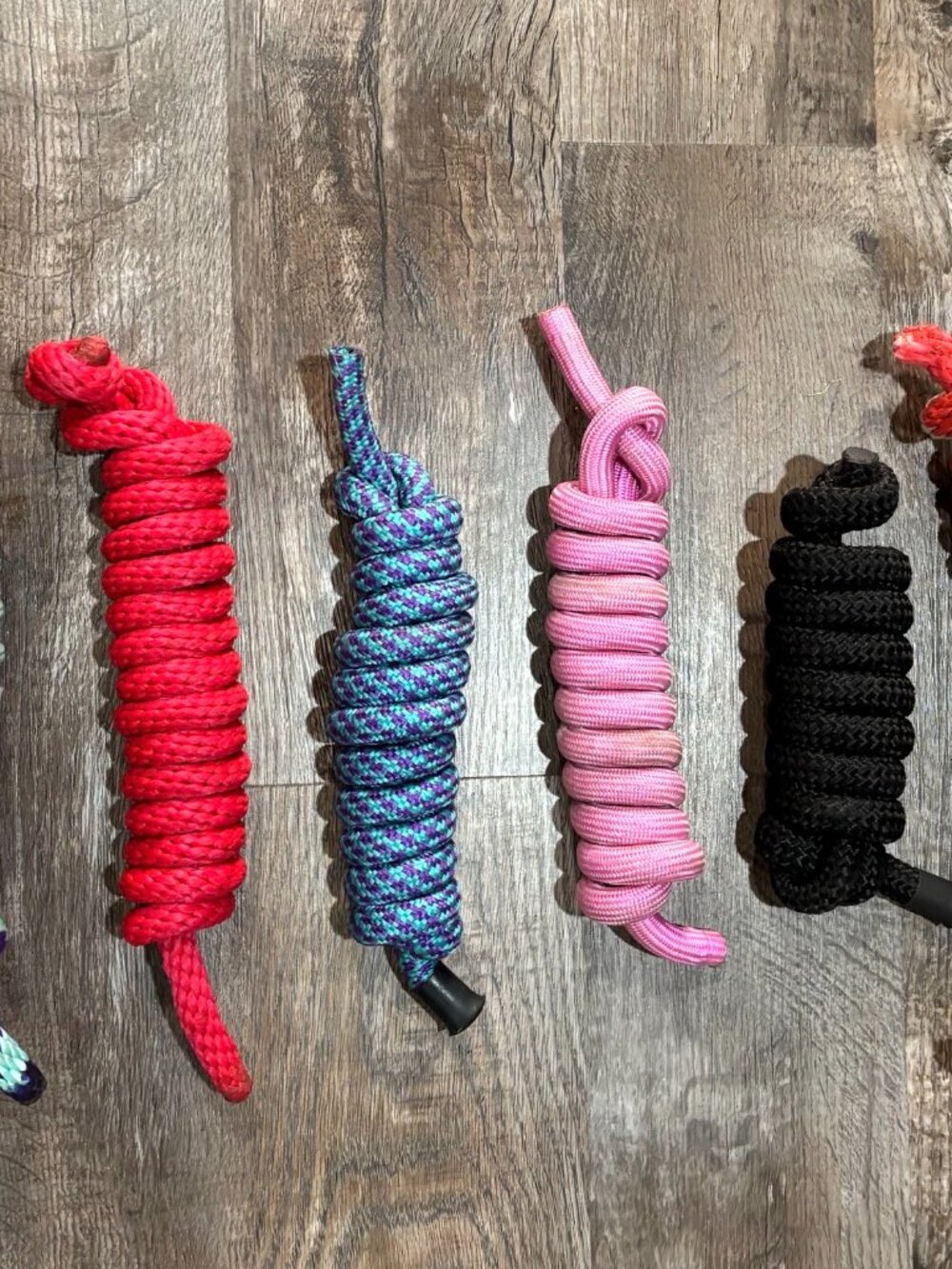 Horse Lead Rope Bundle